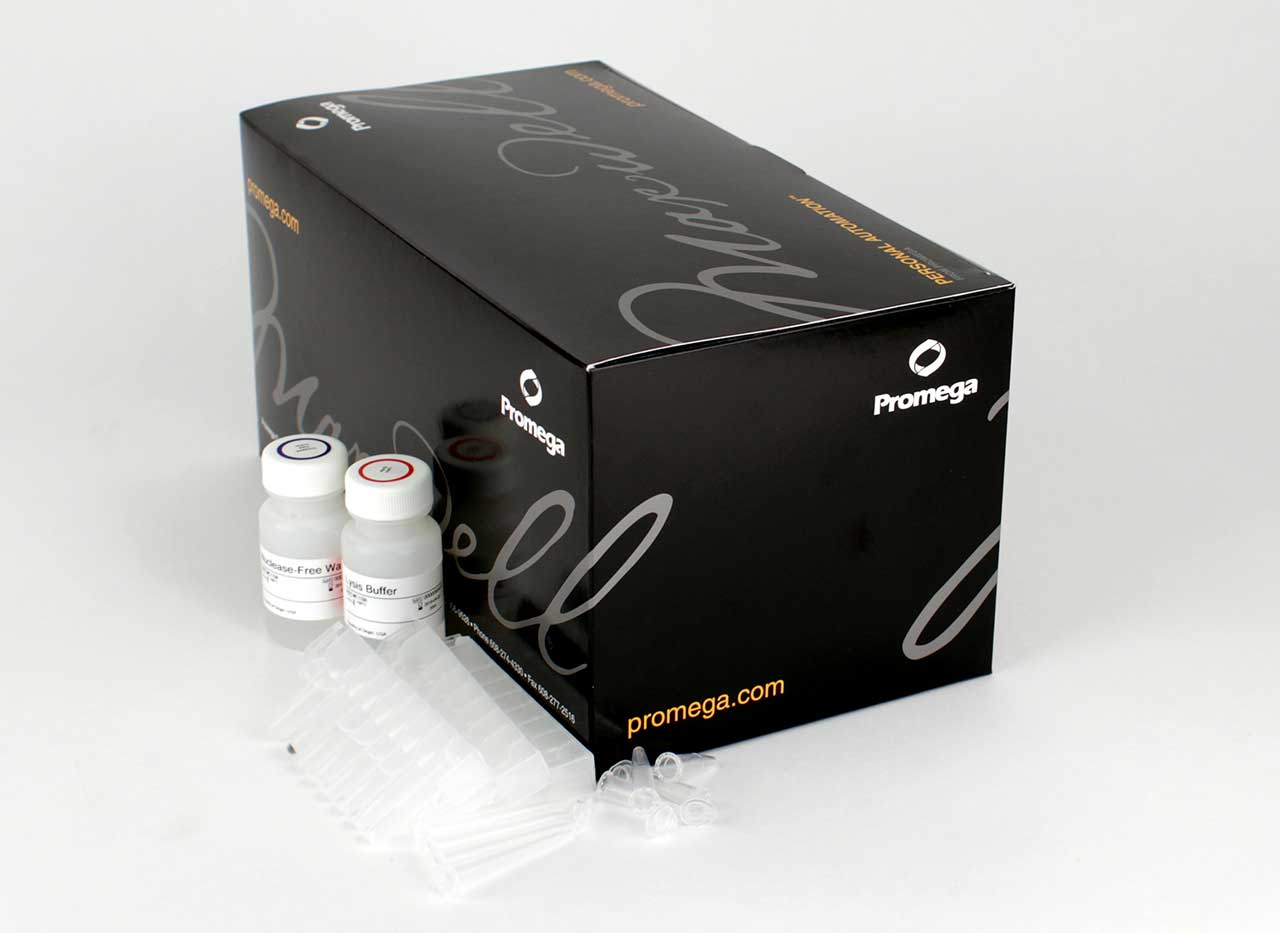 Maxwell® RSC Blood DNA Kit